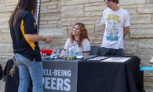 Well-being peers at event.