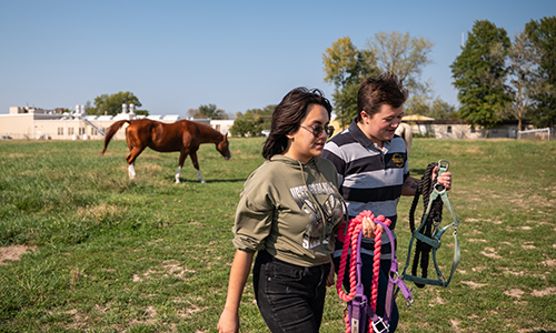 CAFNR students working with horses.