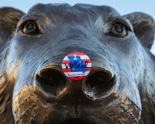 Tiger statue with Vote sticker.