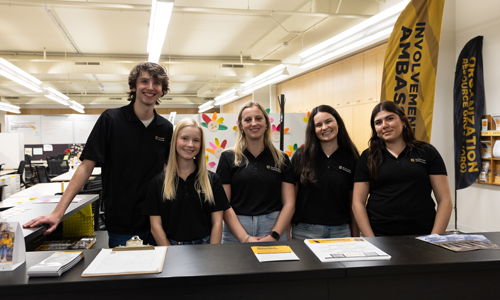 Involvement Ambassadors at table.