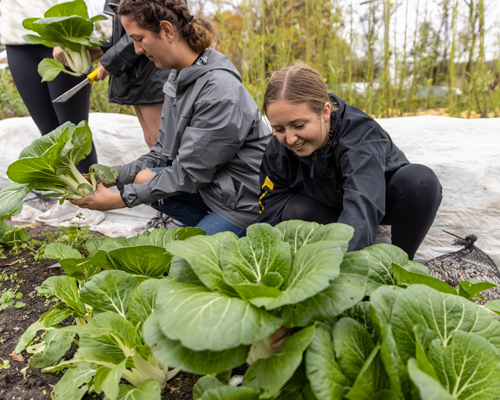Student planting at service opportunity.