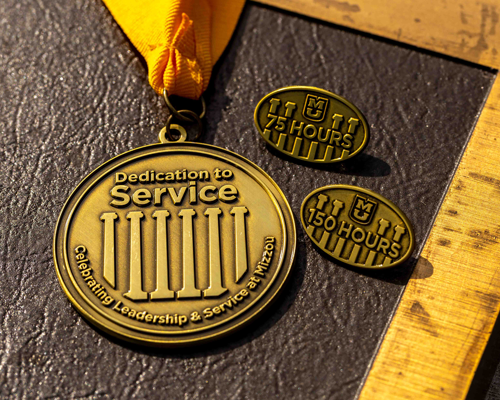 Service Medallion and pins on table.