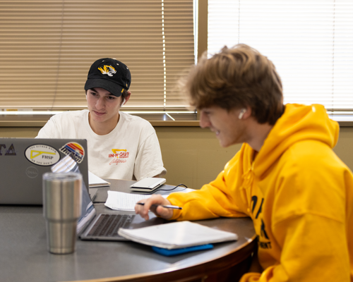 Students studying in library.