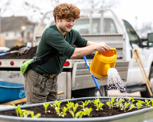 Student planting.