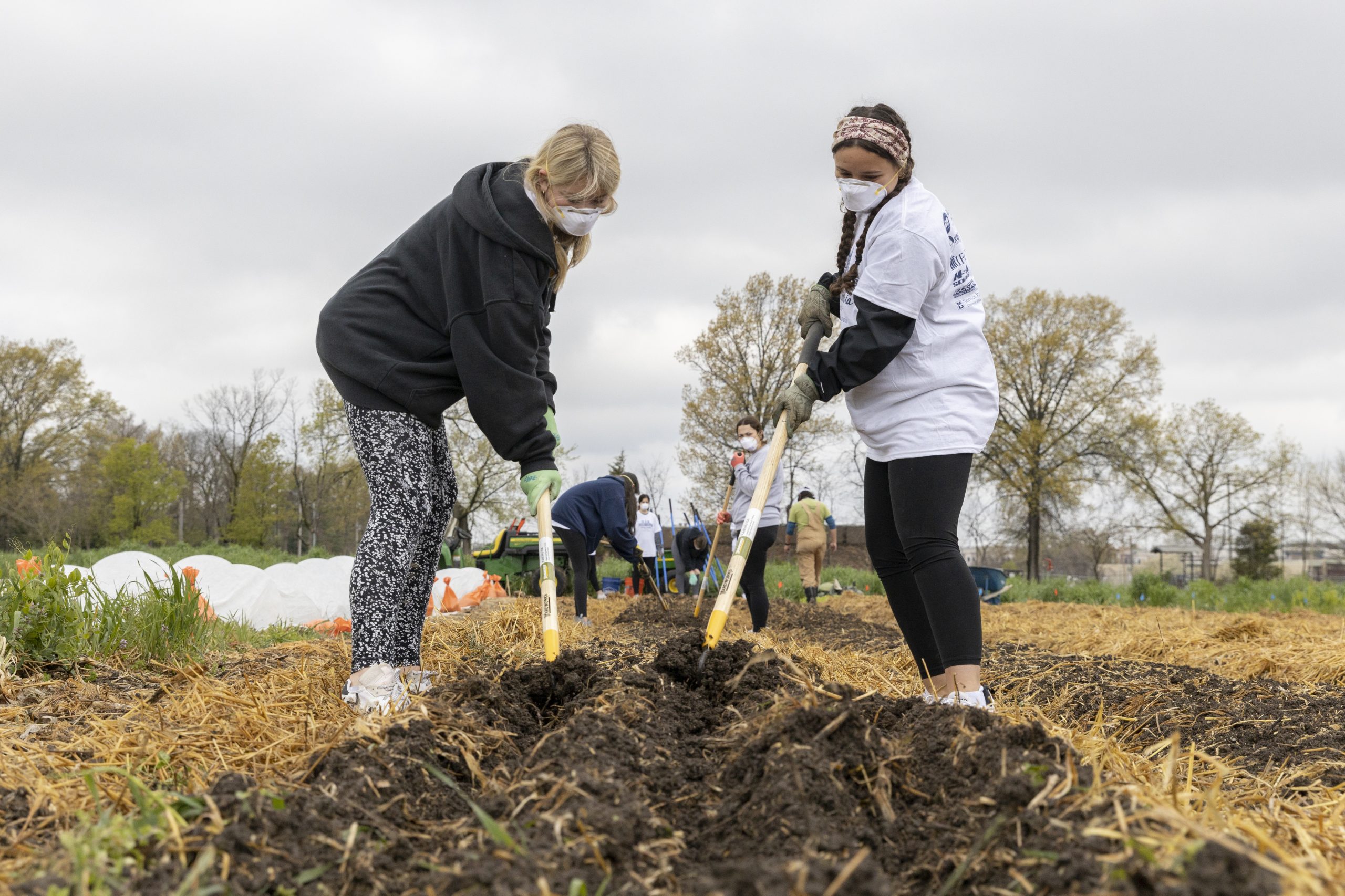 Students volunteer their time to help the Columbia Center for Urban Agriculture